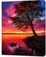 product-compare-59469588