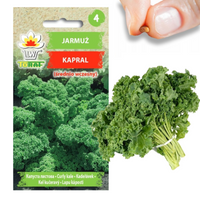 NASIONA JARMUŻU JARMUŻ KAPRAL ZIELONY ŚREDNIOWCZESNY ODPORNY ZDROWY 1g