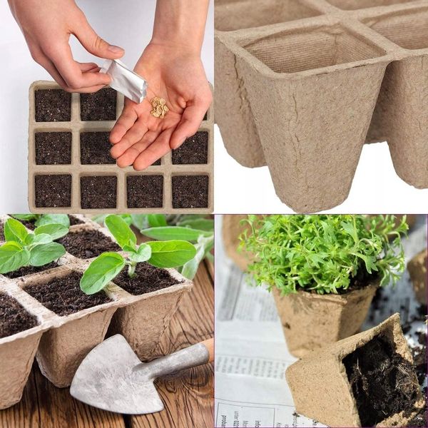 DONICZKI TORFOWE ROZSADY SADZONKI 5 TACEK 60SZT zdjęcie 3