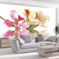 Fototapeta - Kwiaty tropikalne - drzewo storczykowe (bauhinia) 200x154