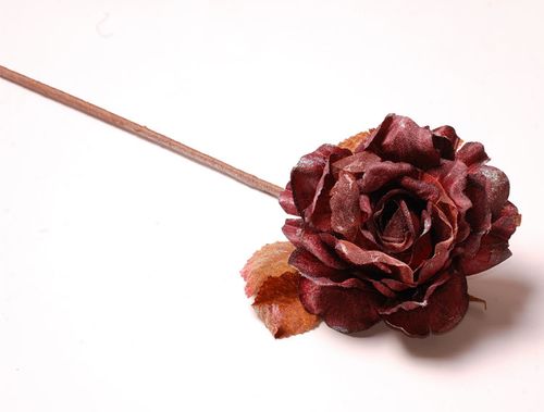 Róża zimowa brązowa na Arena.pl