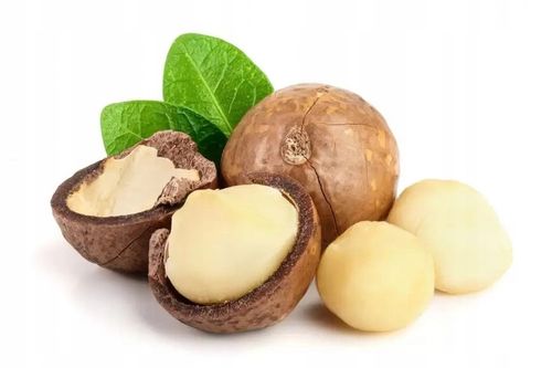 Orzechy MACADAMIA MAKADAMIA świeże 500g na Arena.pl