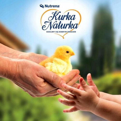 Pasza startowa Kurka Naturka Pisklę Karma Nutrena dla kur kurczaków 25kg na Arena.pl