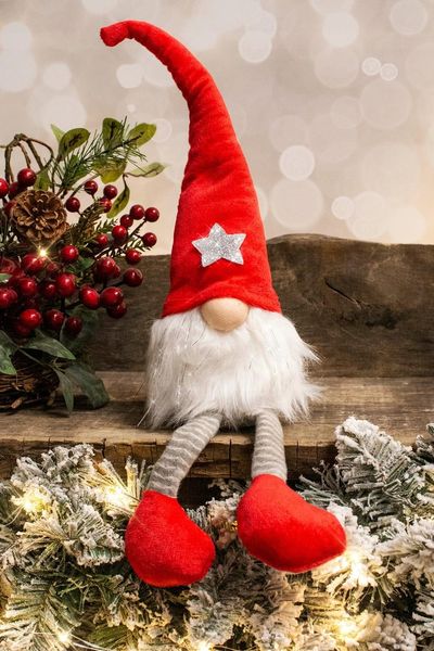 Skrzat czerwony ze srebrną gwiazdką zdjęcie 2