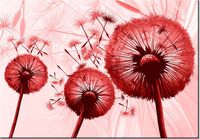 100 70CM OBRAZ PŁÓTNO DMUCHAWCE CZERWIENI PŁÓTNO RAMA