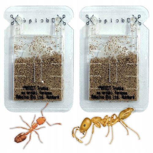 SILNY PROSZEK ŚRODEK PREPARAT TRUTKA NA MRÓWKI FARAONA PROTECT 3 SZT na Arena.pl