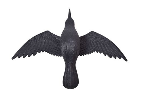 KRUK LATAJĄCY ODSTRASZACZ W LOCIE NA BALKON TARAS GOŁĘBI PTAKÓW na Arena.pl