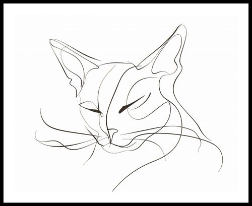 Plakat 76x60,5cm Linijny Kot na Arena.pl