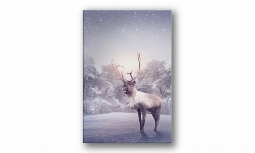 OBRAZ NA PŁÓTNIE 087 Renifer 40x60cm na Arena.pl