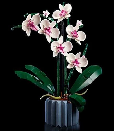 10311 - LEGO Icons - Orchidea na Arena.pl