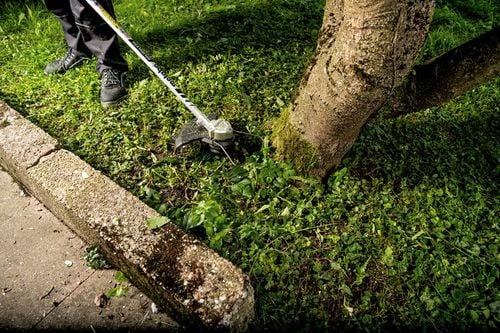 podkaszarka akumulatorowa rtd 18 ltx bl 30 - me 601720850 na Arena.pl