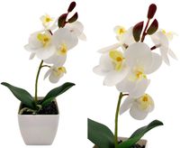 SZTUCZNY STORCZYK W DONICZCE BIAŁY ROŚLINA DONICZKOWA SZTUCZNA ORCHIDEA