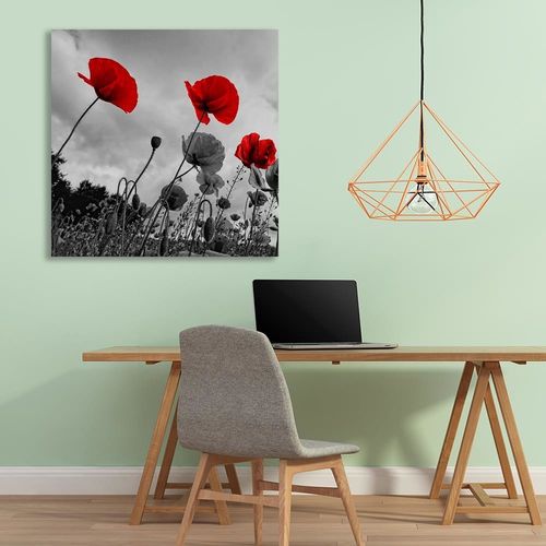 Deco Panel, Czerwone maki na łące 80x80 na Arena.pl