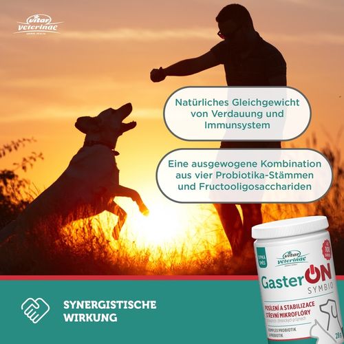 VITAR Veterinae GasterON SYMBIO - probiotyki i prebiotyki - aż 100 dawek na Arena.pl