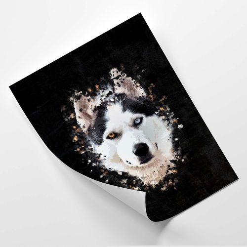 Plakat, Husky syberyjski 40x60 na Arena.pl