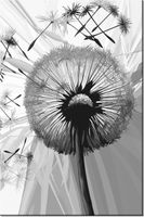 product-compare-58703857