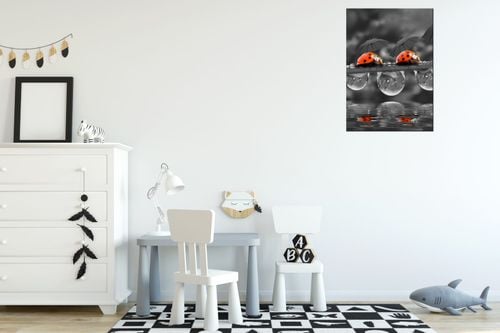 Foto-Obraz 50X70 Spacerek na Arena.pl