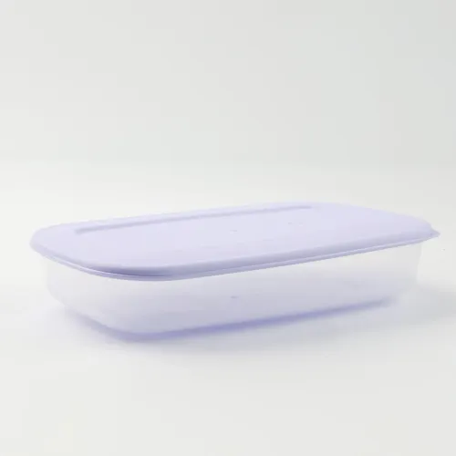 PLASTIKOWY POJEMNIK Z POKRYWKĄ DO PRZECHOWYWANIA ZAMRAŻANIA ŻYWNOŚCI 1,5L na Arena.pl