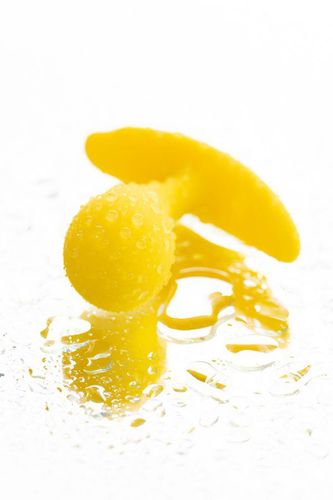 todo anal plug blob na Arena.pl