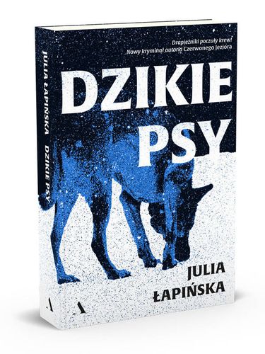 Dzikie psy na Arena.pl