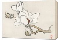 Obraz 70x50cm Magnolia, Kōno Bairei Japoński Vintage do Salonu