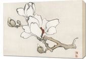 Obraz 70x50cm Magnolia, Kōno Bairei Japoński Vintage do Salonu