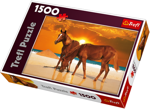 TREFL 26093 RUMAKI NA PLAZY 1500 el na Arena.pl