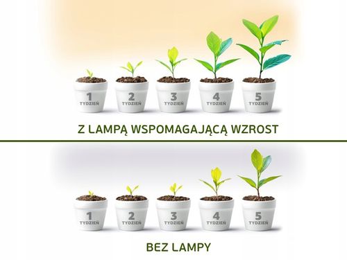 Przewód Kabel Zasilający ze Sterownikiem LED PC do Lampy Growly 3m na Arena.pl