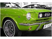 60X40CM LIMONKOWY MUSTANG OBRAZ