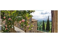 100X40CM RÓŻE BALKONIE OBRAZ DREWNO