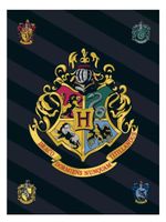 Koc polarowy 120x140 Harry Potter