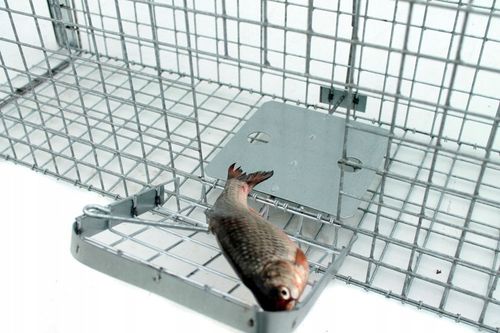 ZYWOŁAPKA PUŁAPKA NA KUNY LISY KOTY BOBRY WYDRY na Arena.pl