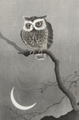 Plakat 20x30cm Long-Eared Owl, Koson Japoński Vintage do Salonu