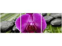 60 90CM OBRAZ 3 ELEM PORANNA ROSA ŚCIENNY DRUK PŁÓTNO