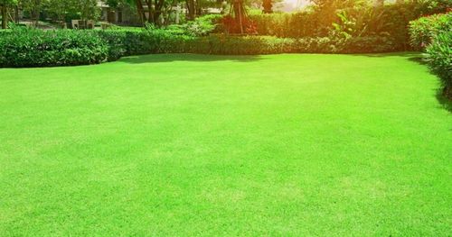 OBORNIK Granulowany Nawóz do Roślin Warzyw Jesienny Wiosenny 40L na Arena.pl