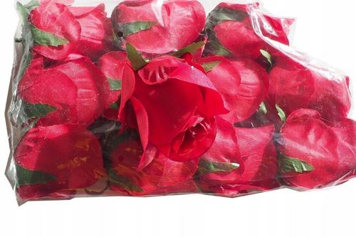 Gąbka mokra florystyczna cegła pianka zielona 20 sztuk ! na Arena.pl