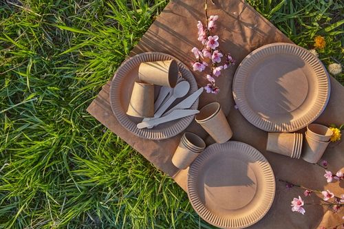 EKOLOGICZNY ZESTAW NACZYŃ JEDNORAZOWYCH DO GRILLA DLA 50 OSÓB – KRAFT na Arena.pl