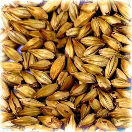 Słód Château Cara Gold® 120 EBC Castle Malting® 0,5 kg na Arena.pl