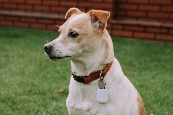 Lokalizator kluczy NotiOne Go Plus zdjęcie 3