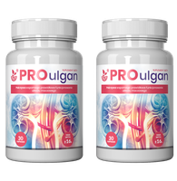 ProUlgan - wsparcie układu moczowego 60 kaps.