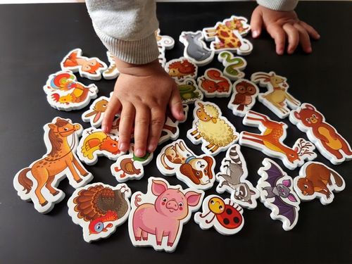 MAGNESY NA LODÓWKĘ DLA DZIECI ZESTAW EDUKACYJNY ZWIERZĘTA PREZENT 30 na Arena.pl