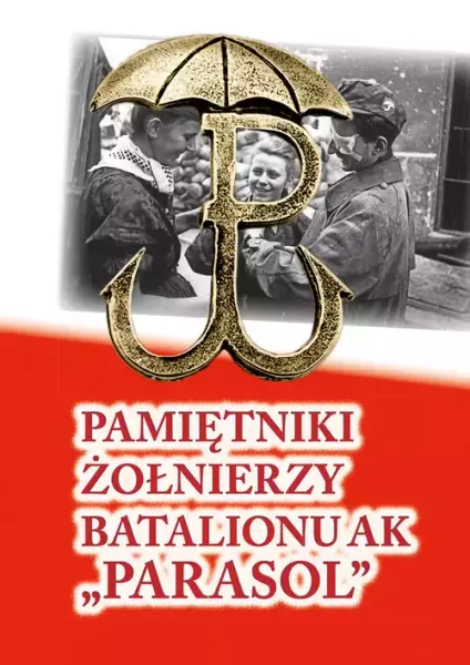 Pamiętniki żołnierzy Batalionu AK zdjęcie 1