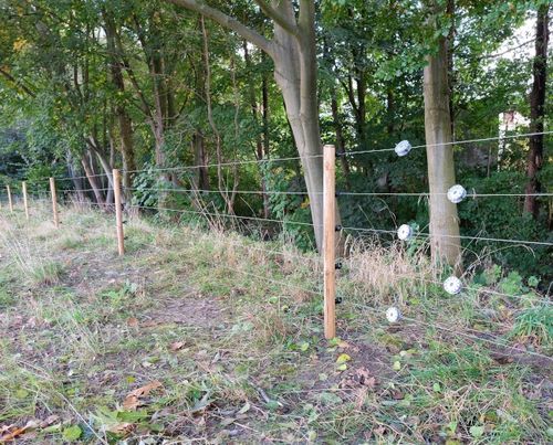 Izolatory do pastucha elektrycznego do drewna 100szt elektryzator drut na Arena.pl