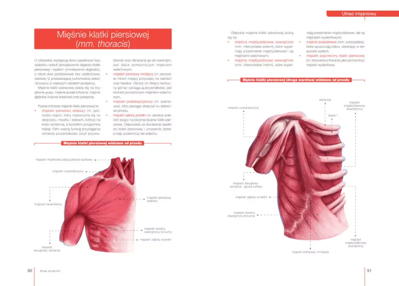 Atlas anatomii zdjęcie 3