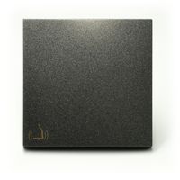 Efapel Logus90 klawisz do łącznika zwiernego z symbolem dzwonek grafit 90605 TIS