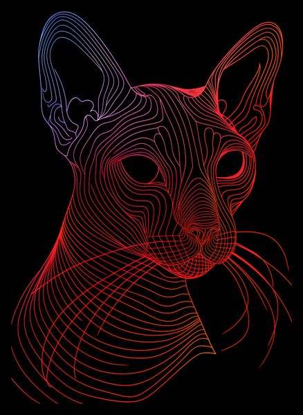 Plakat 25x35cm Cyfrowa Kocica zdjęcie 2