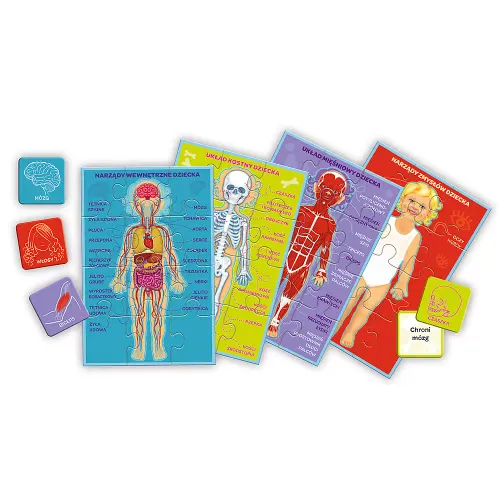 Mały odkrywca. Moje ciało na Arena.pl