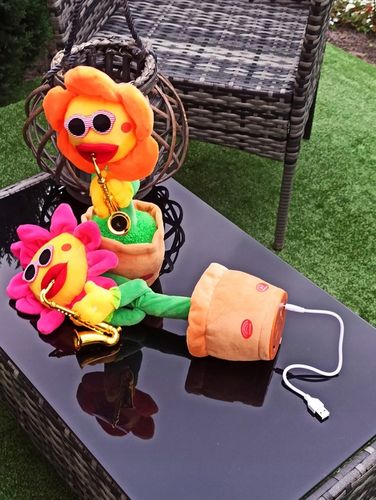 ŚPIEWAJĄCY TAŃCZĄCY KWIATEK z saksofonem SŁONECZNIK JAK KAKTUS na Arena.pl