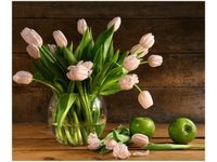 60X50CM PUDROWY TULIPAN OBRAZ ŚCIAN DREWNIANE