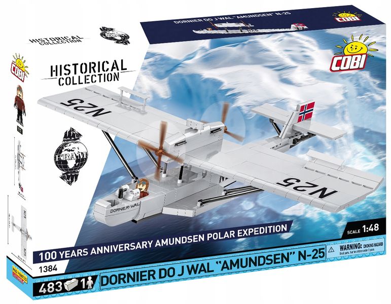 Dornier Do J Wal Amundsen N -25 zdjęcie 2